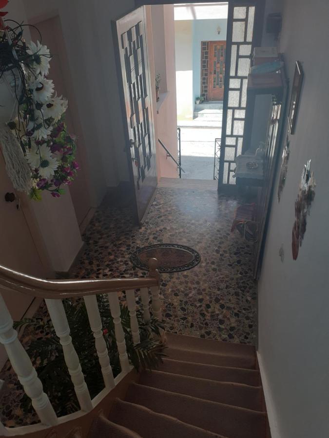 فندق Thalia'S Garden Mytilíni المظهر الخارجي الصورة