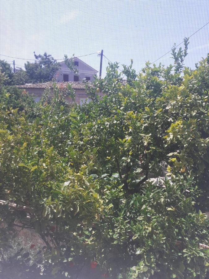 فندق Thalia'S Garden Mytilíni المظهر الخارجي الصورة